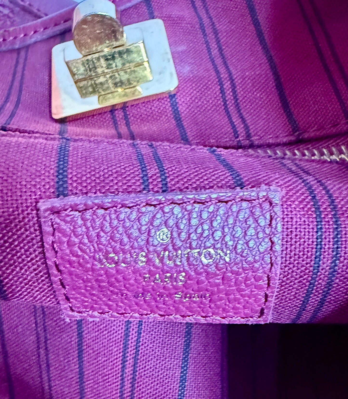 Louis Vuitton Burgundy Bag