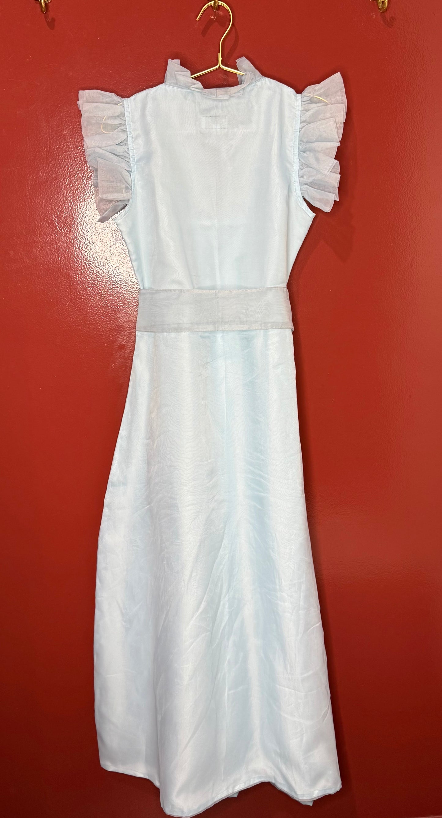 Sue Sartor Firenza Dress Silk Organza 6