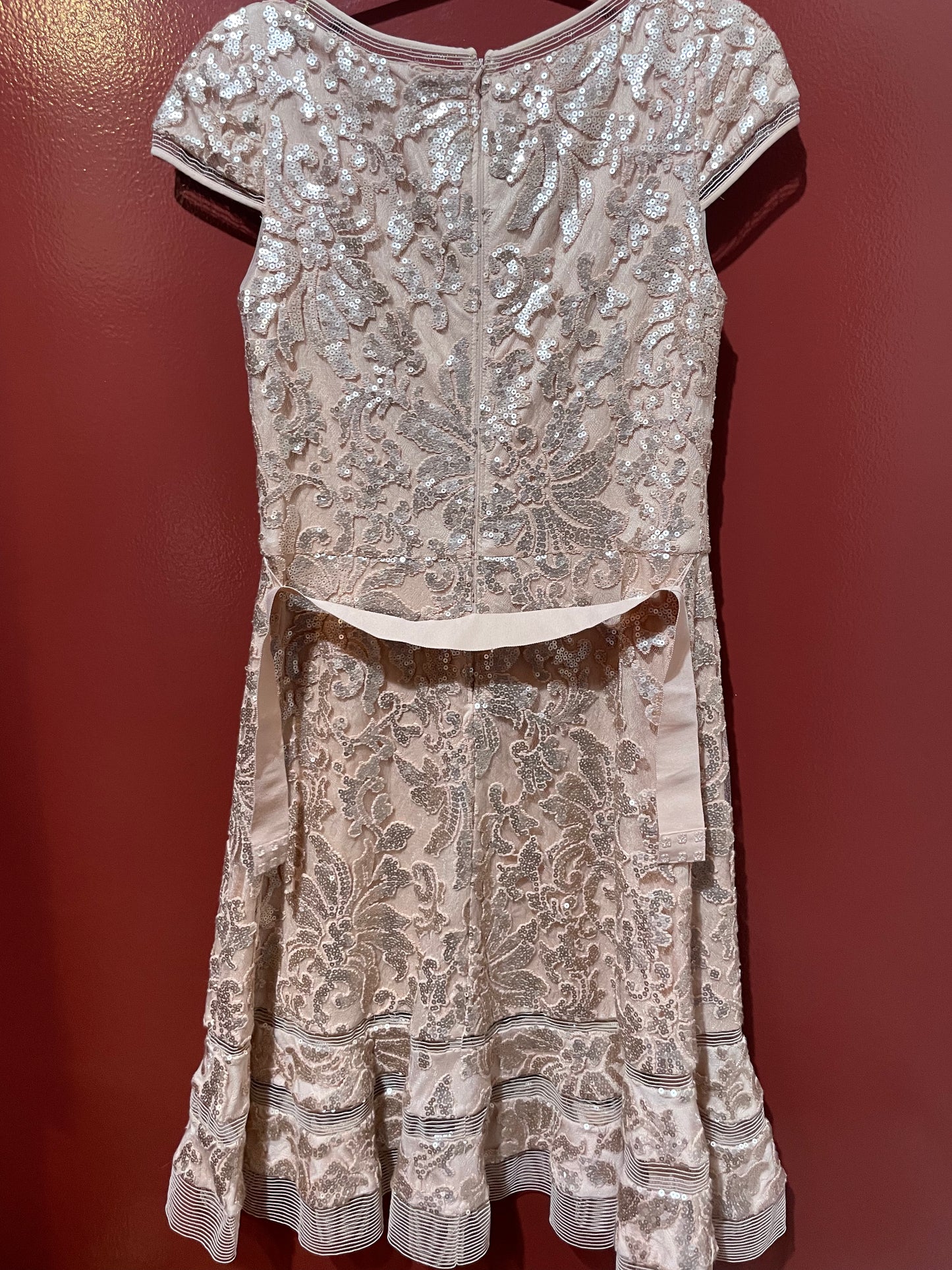 Tadashi Shoji Embroidered Lace Cap Sleeve Dress 4