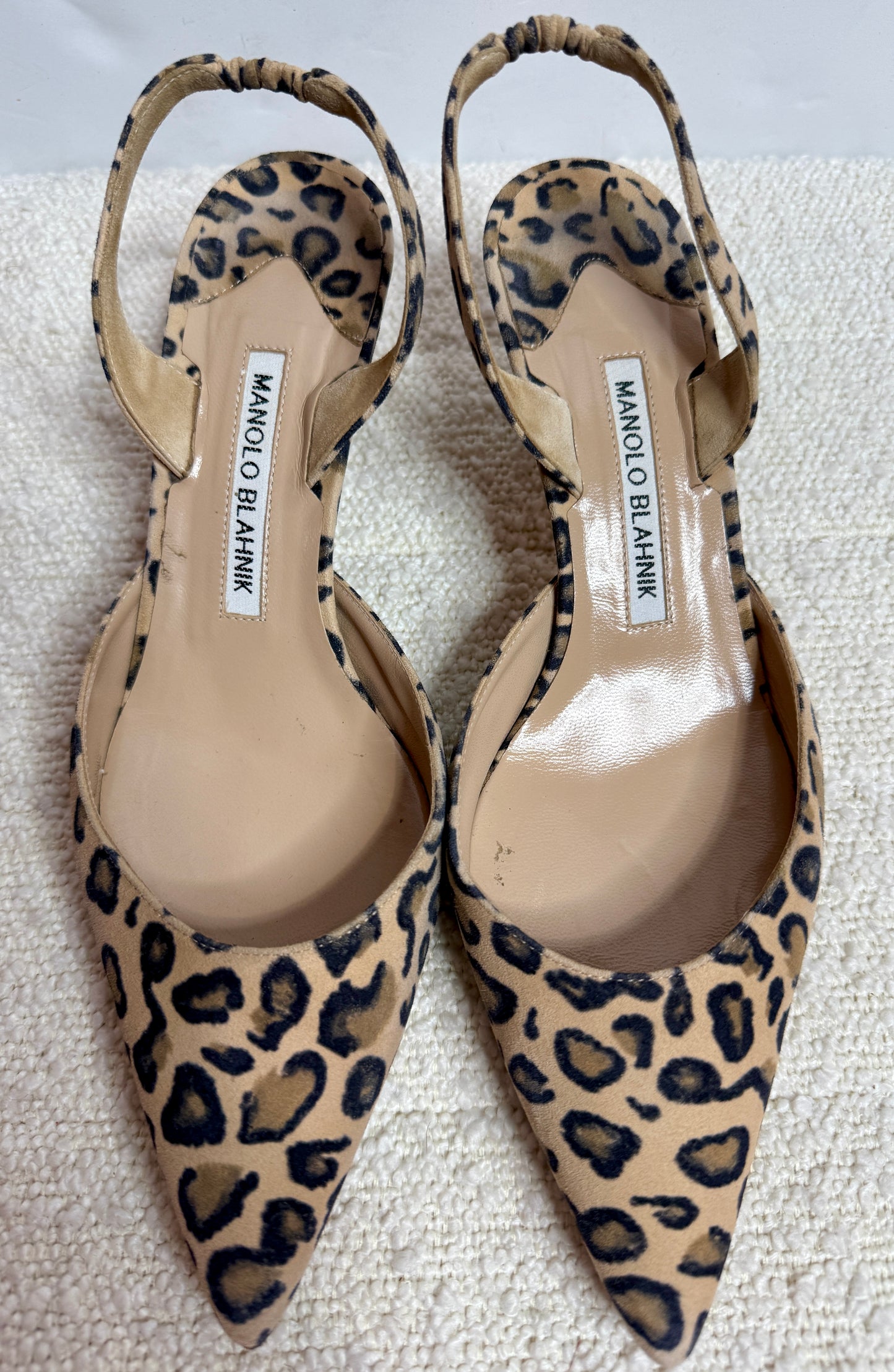 Monolo Blahnik Cheetah Kitten Heel 7.5