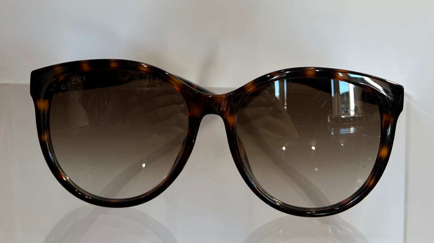 Havana Brown Gucci Sunglasses