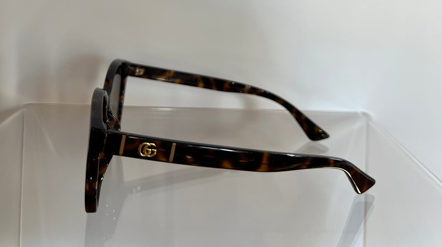 Havana Brown Gucci Sunglasses