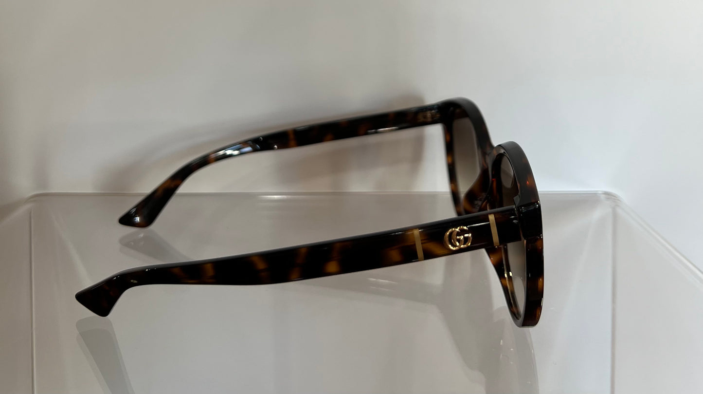 Havana Brown Gucci Sunglasses