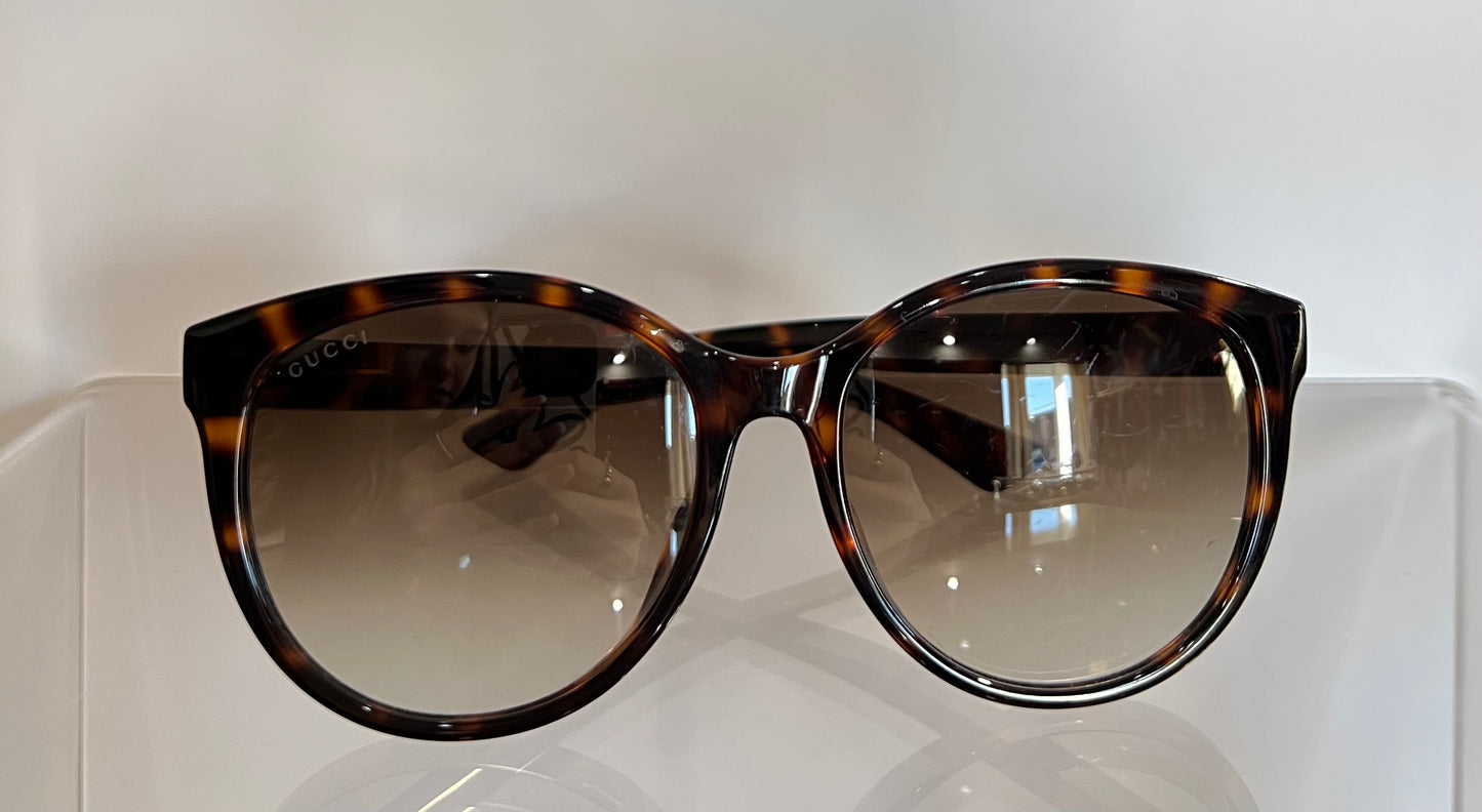Havana Brown Gucci Sunglasses