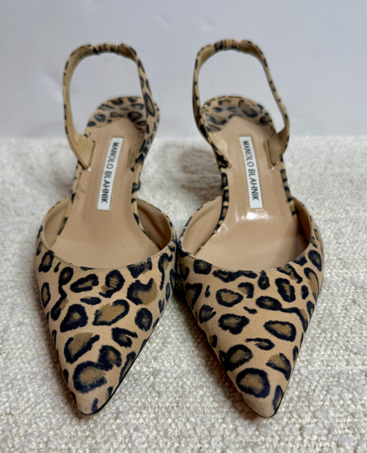 Monolo Blahnik Cheetah Kitten Heel 7.5